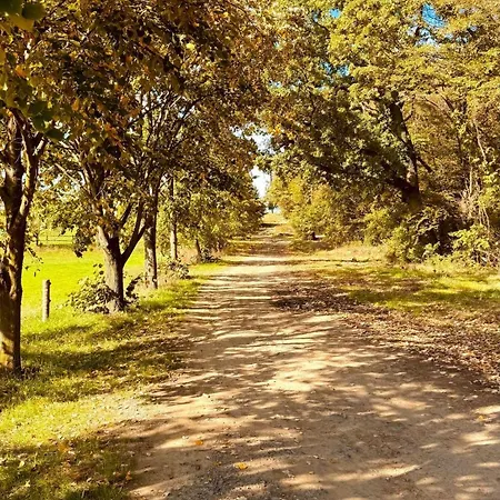 Apartmán Kisbattyan Vendeghaz